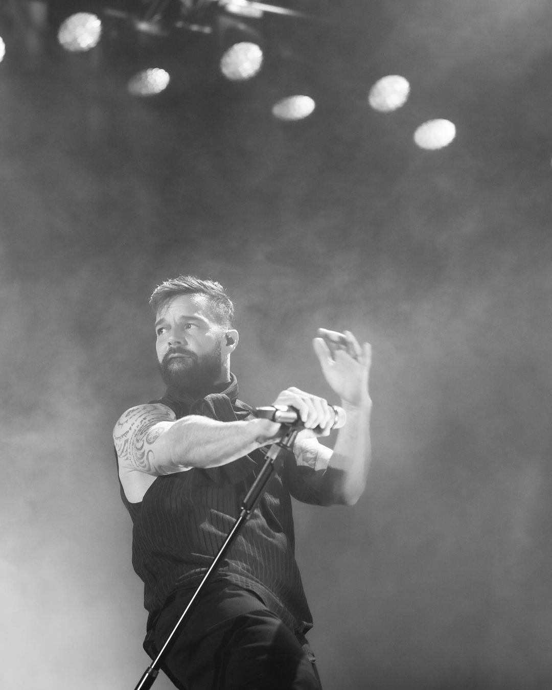 A portrait of Ricky Martin performing
