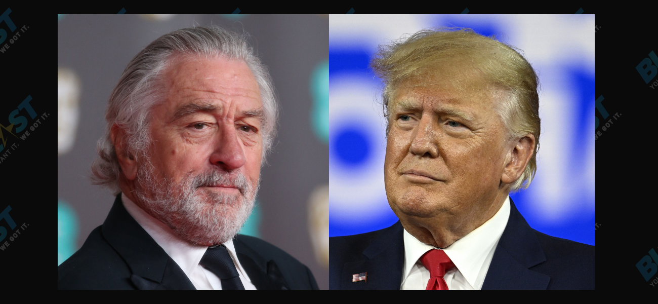Actor Robert De Niro Slams Former President Donald Trump At Cannes, Calls Him ‘Stupid’