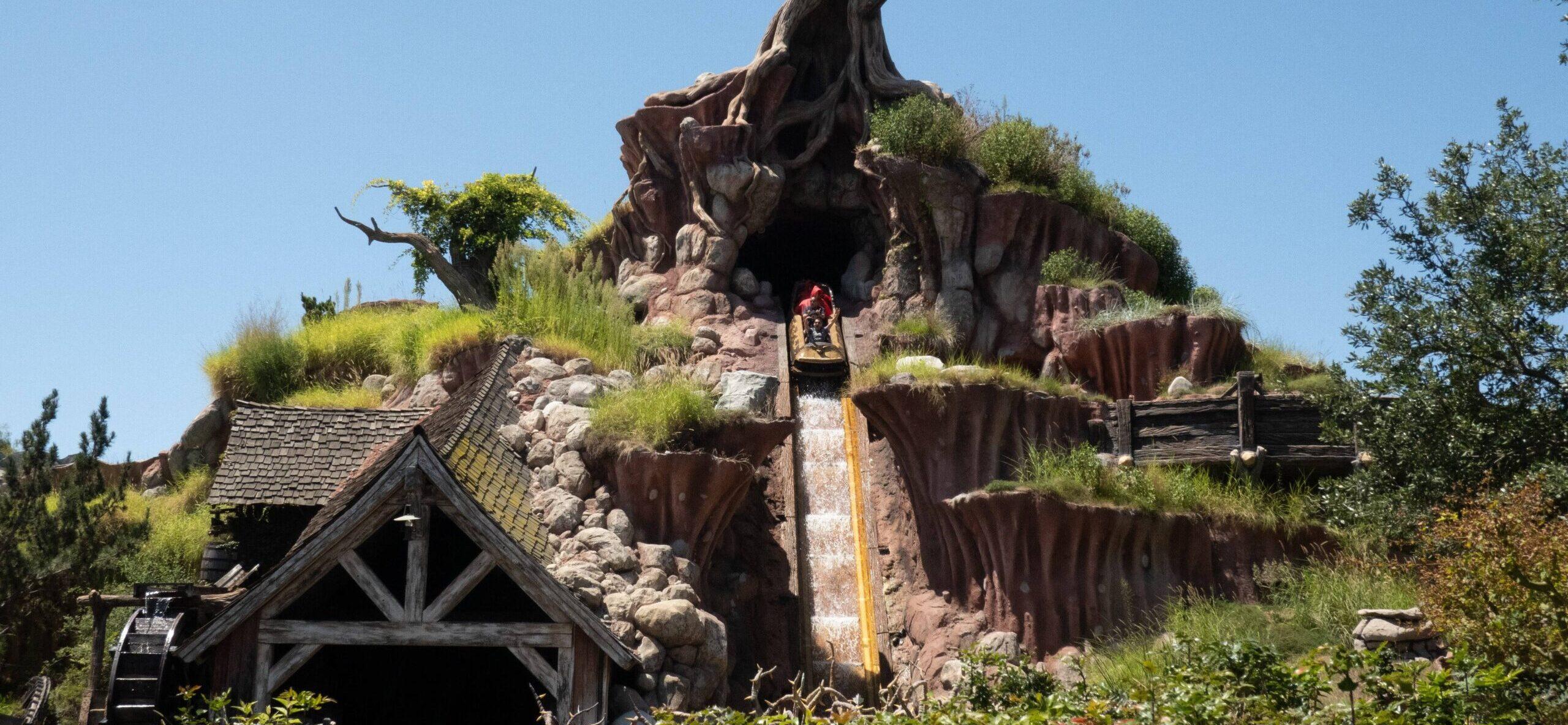 Splash Mountain Fiasco: Guest Jumps Out Of Moving Ride Vehicle