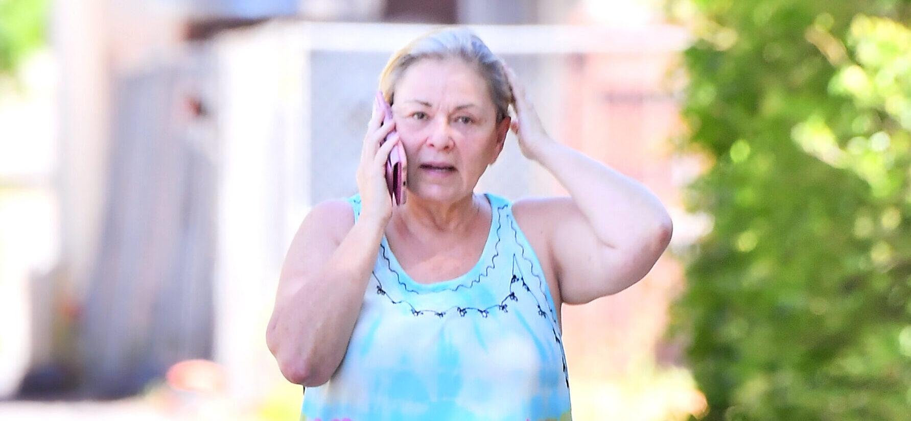 Roseanne Barr Annoyed With Former Costar Over Allegations of ‘Racism’