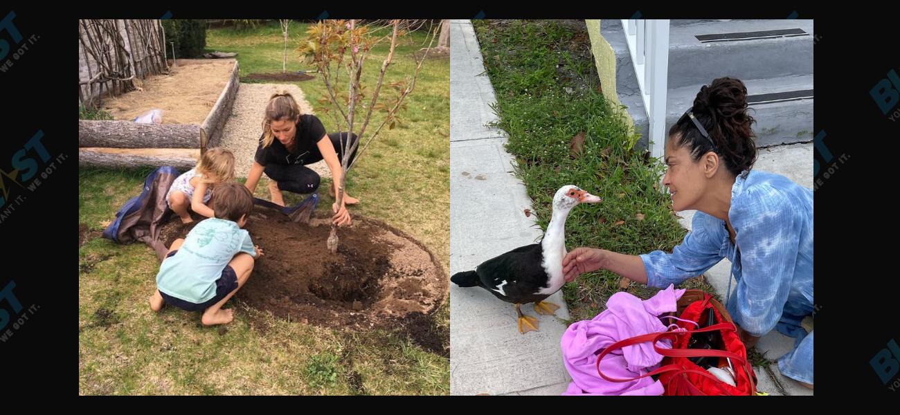 Gisele Bündchen, Salma Hayek & More Celebrate World Environment Day