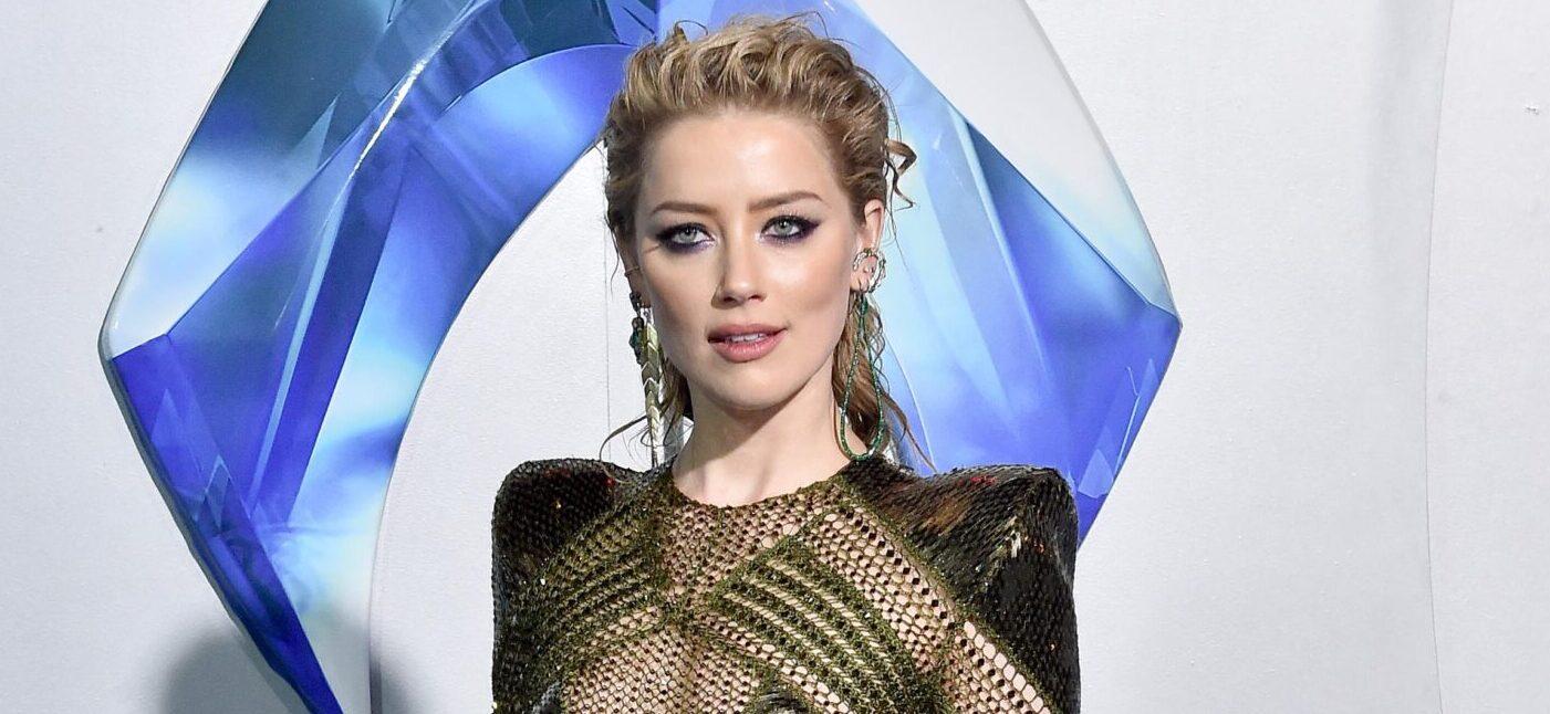 Amber Heard Will Not Face Further Charges Regarding Illegal Import Of Her Dogs Into Australia