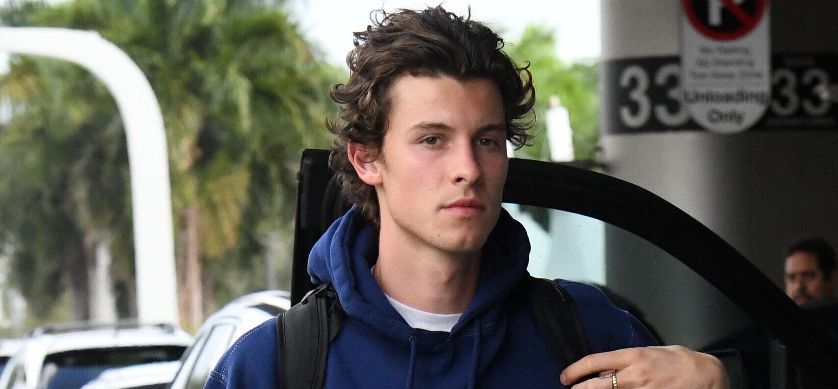 Shawn Mendes Was Dumped By Camila Cabello After Short Fling
