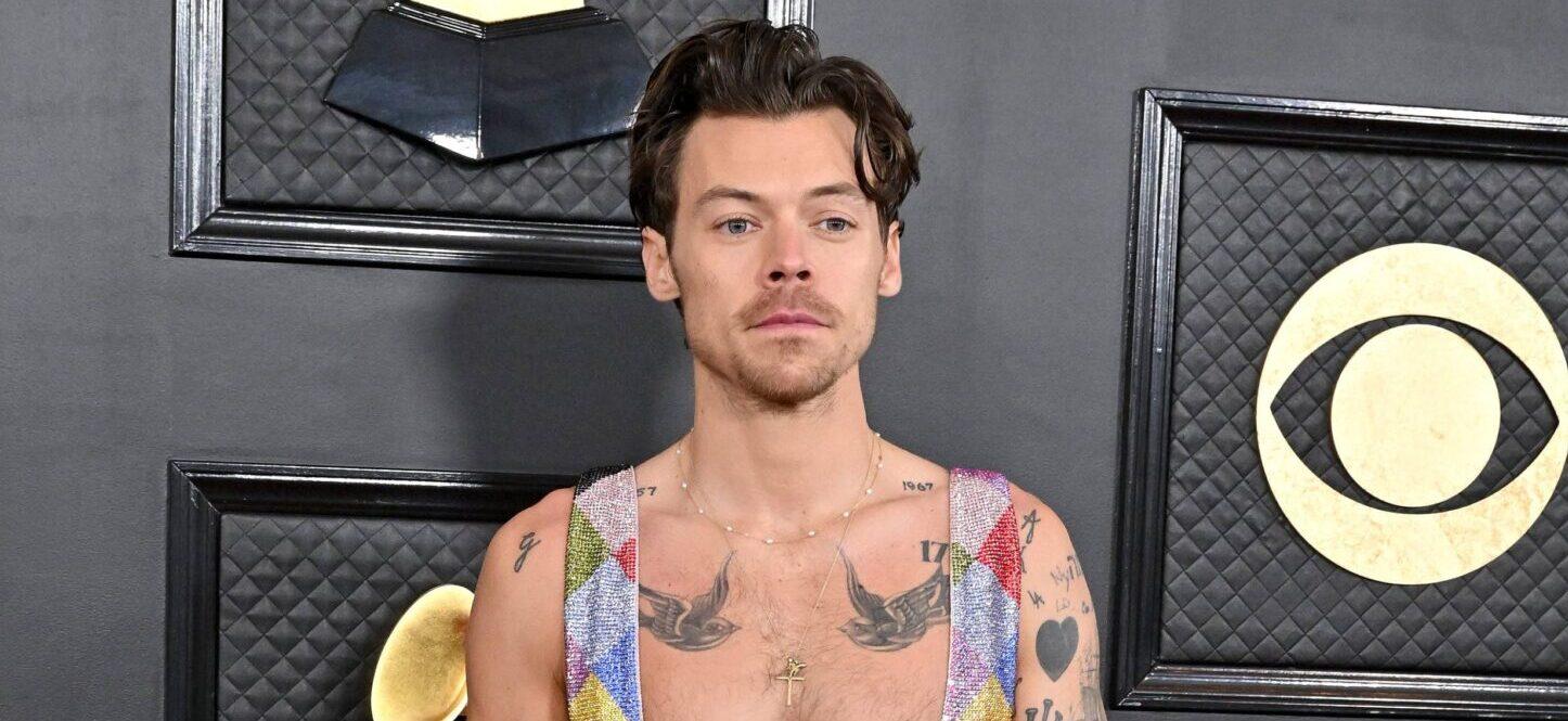 Harry Styles Still Has Some Olivia Wilde Imprinted On Him