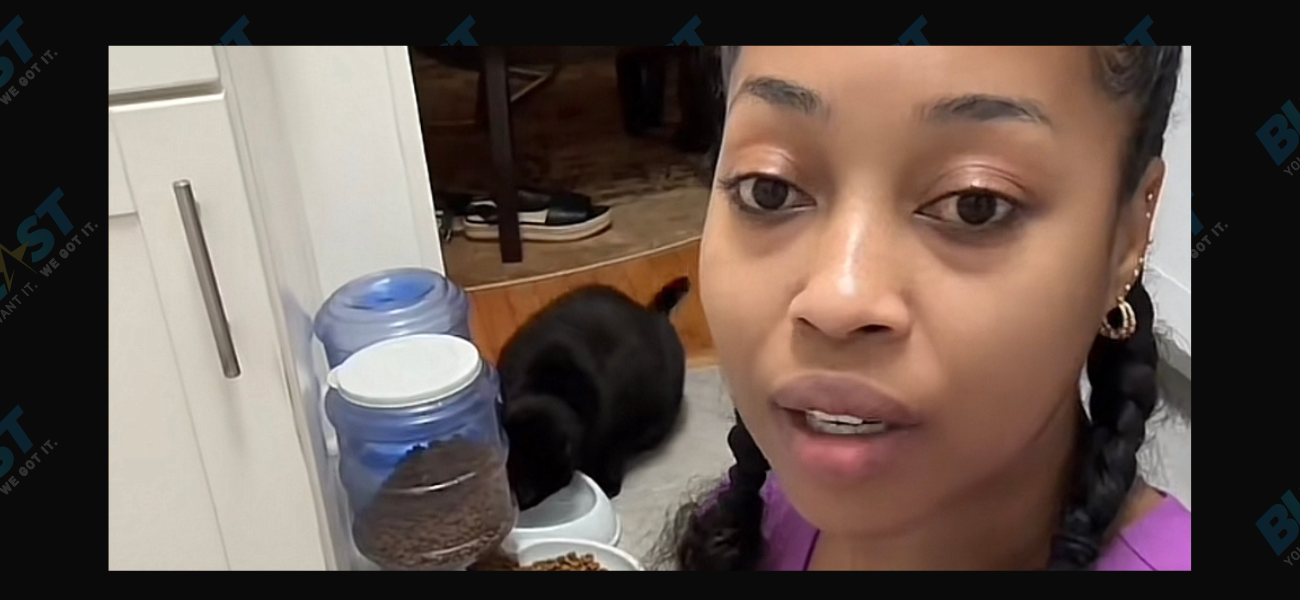 TikTok Creator Nina Shares Nightmare Of Traveling With Her Cat To Bali