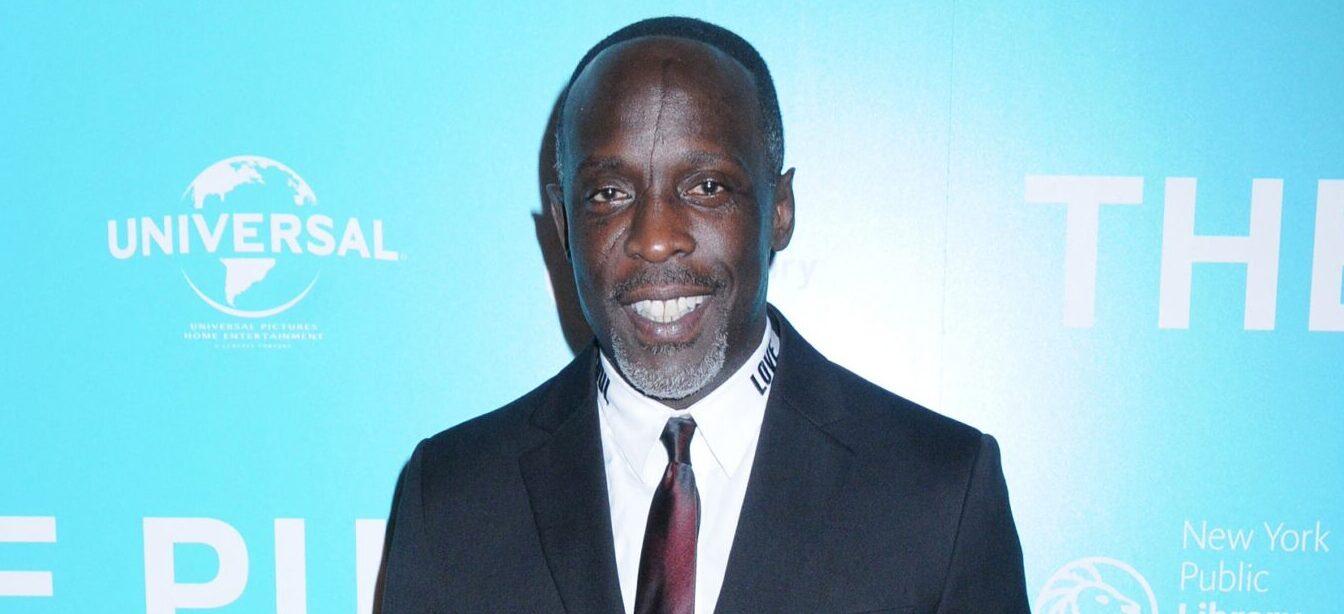 Michael K. Williams at New York Premiere of The Public in NYC