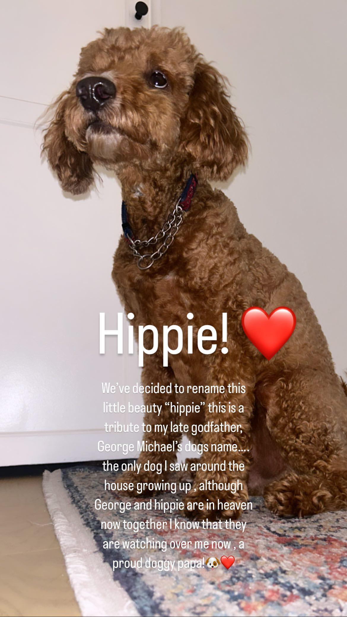 VRP: Meet 'Hippie'! James Kennedy Gives His Dog A Blessed New Name