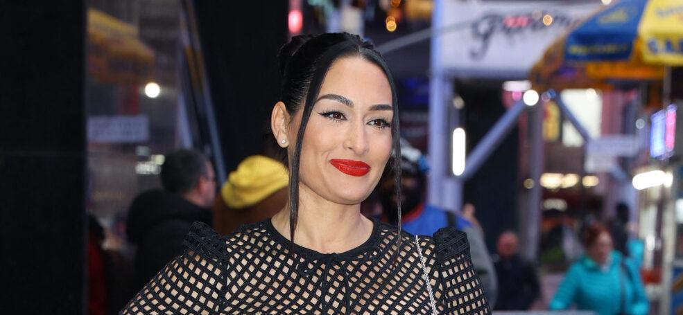 Nikki Bella Gets Candid About Parenting Struggles Of Being ‘Exhausted’