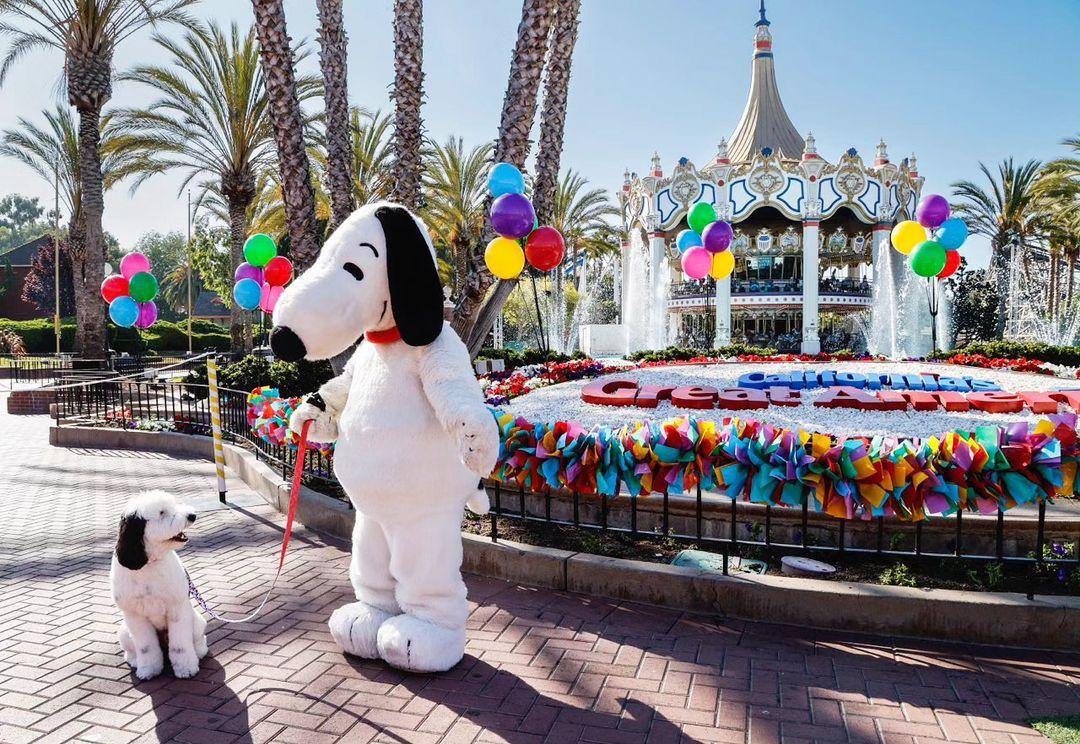 Bayley the sheepadoodle and Snoopy