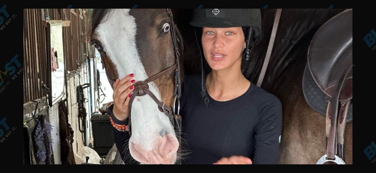 Bella Hadid Has Some Four-Legged “Angels” To Thank For Health & Healing