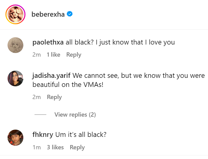 Fans reacted to Bebe Rexha's blank snaps