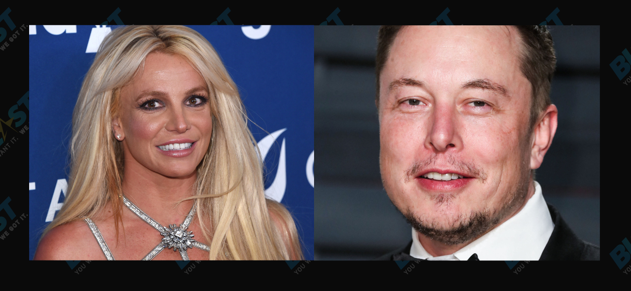Britney Spears and Elon Musk