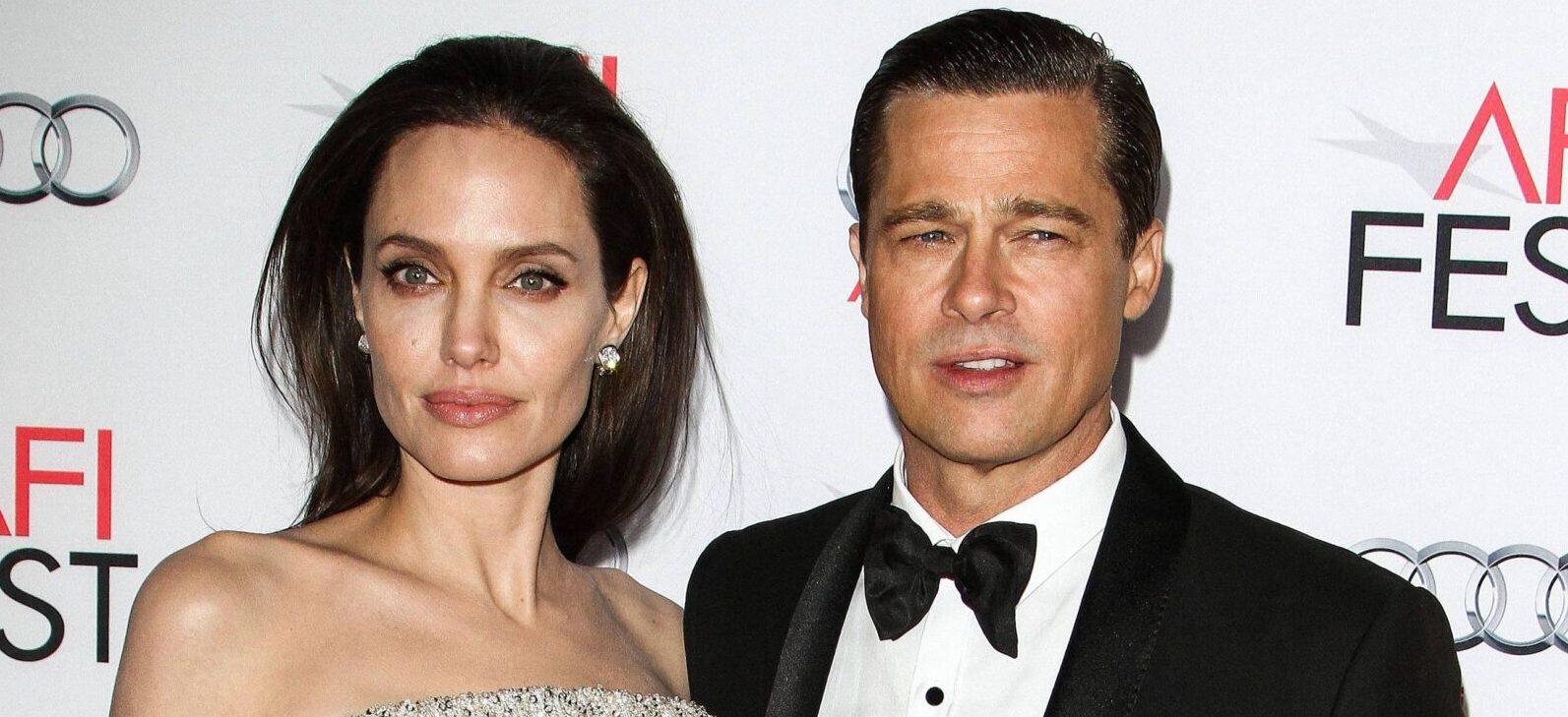 Angelina Jolie Calls For Special Training For Judges Amid Custody Battle With Brad Pitt