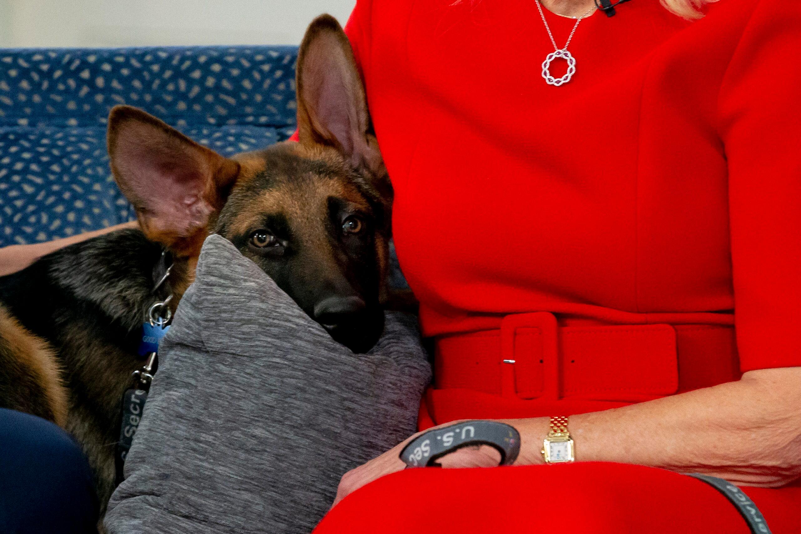 US President Joe Biden and First Lady Jill Biden sit with their dog Commander