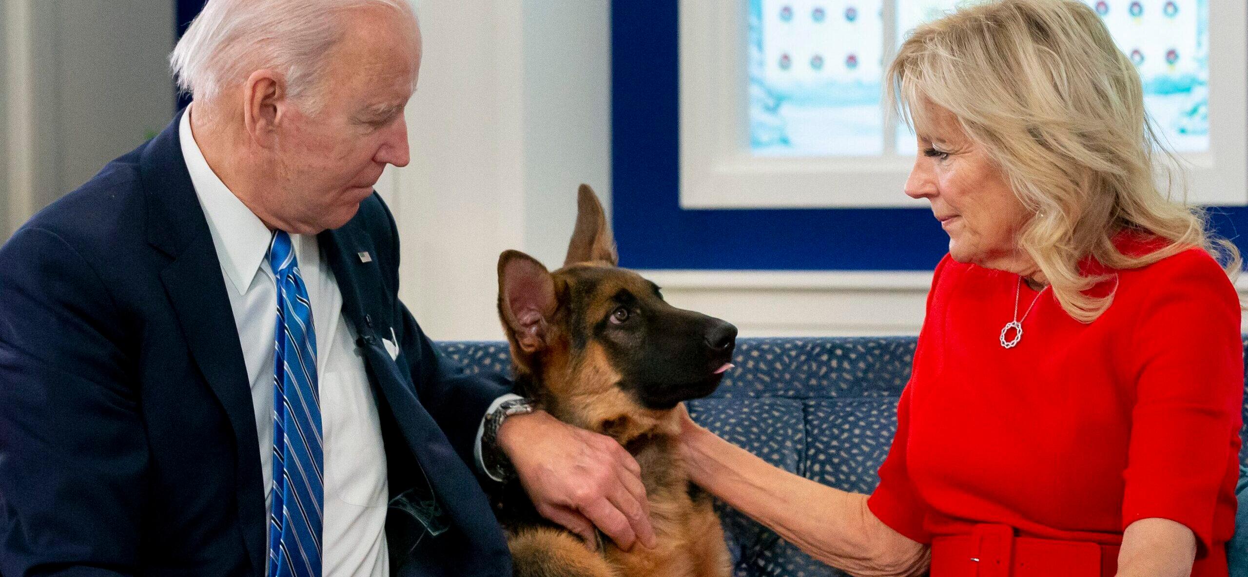 Joe Biden’s Dog Commander REMOVED From White House Amid More Biting Reports