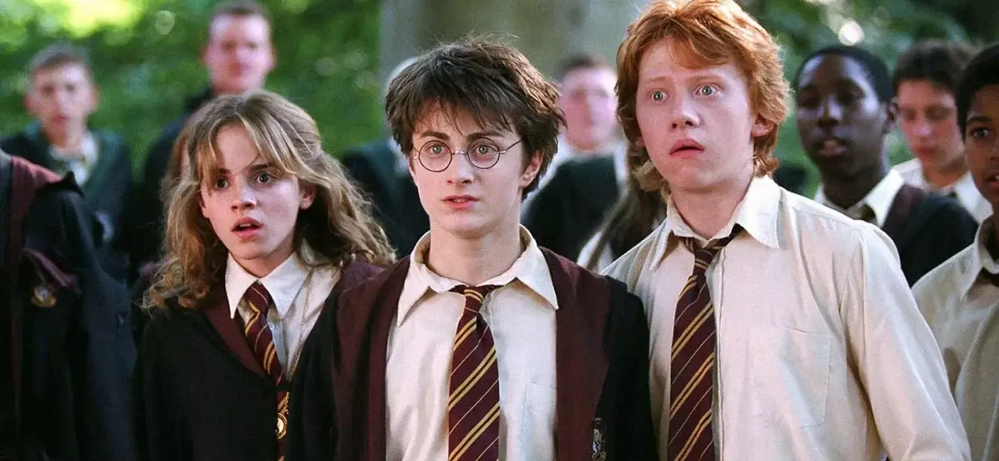 Harry Potter Wand Toy Allegedly Ruptures Kids’ Eyeball, Parents File $8M Lawsuit