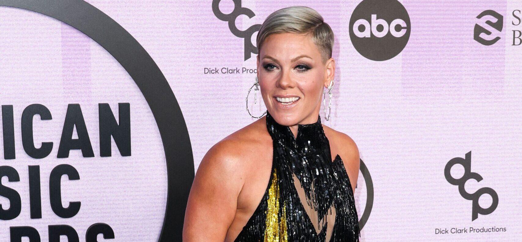 P!nk Debuts New Song Amid Concerns About Her Family Emergency