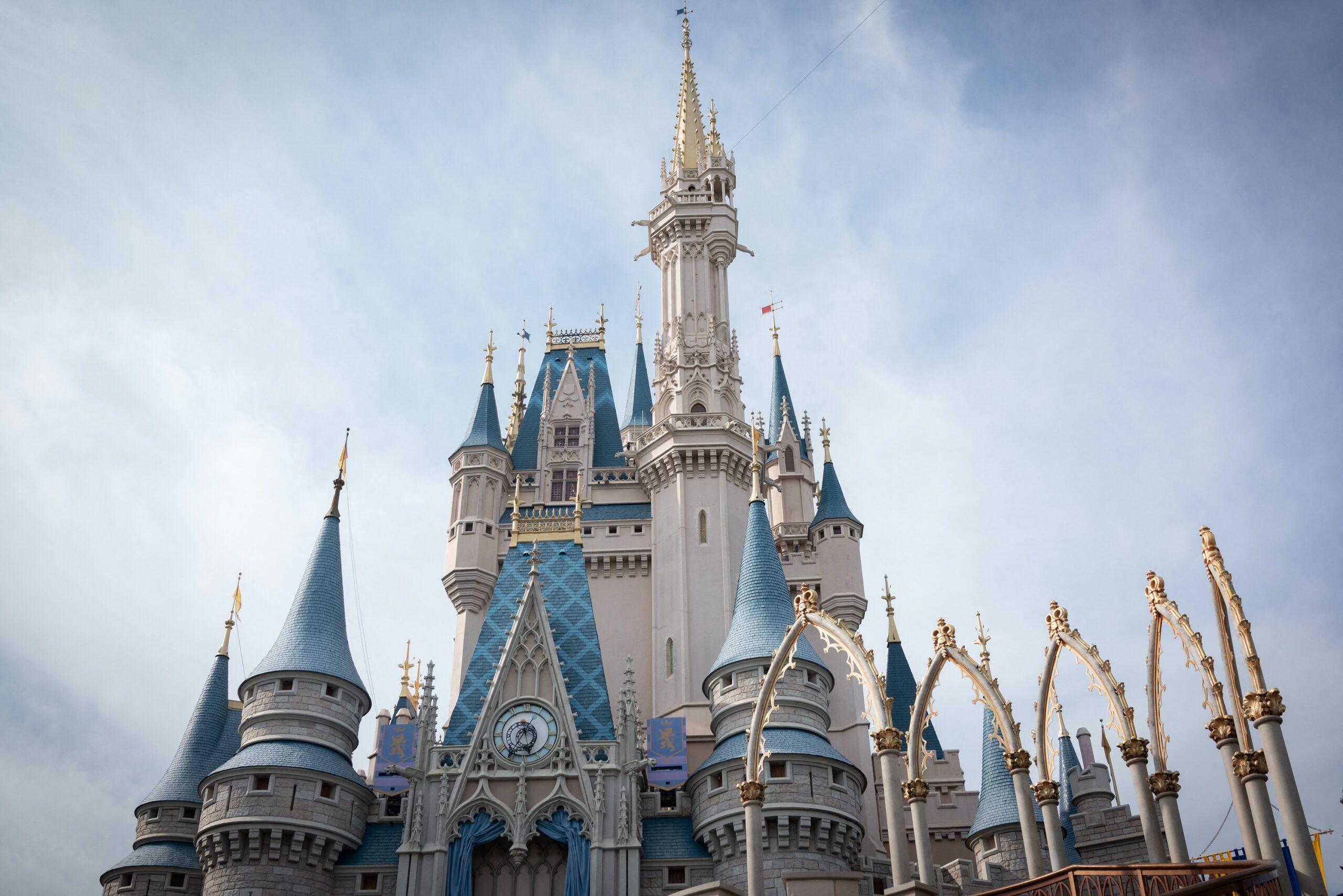 Raging Disney Guest Assaults Security Guard: 'Do You Want To See My Bra?'