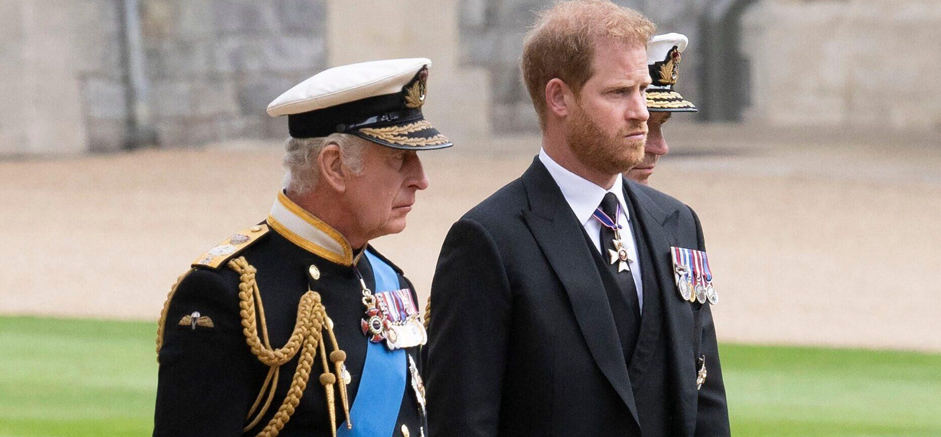 King Charles Reportedly Gives Prince Harry’s Military Role To Prince William