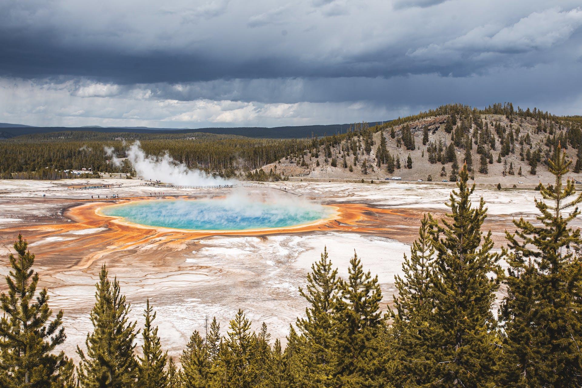 Yellowstone National Park Witness First Rare 'Zombie Disease' In Mule Deer