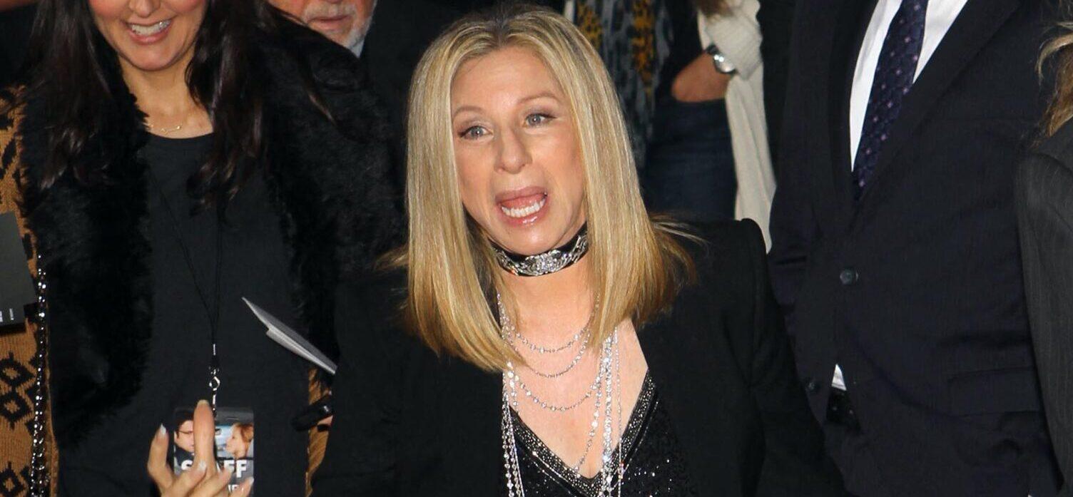 Barbra Streisand Reveals She's ‘Too Old To Care’ If People Find Her Style Provocative
