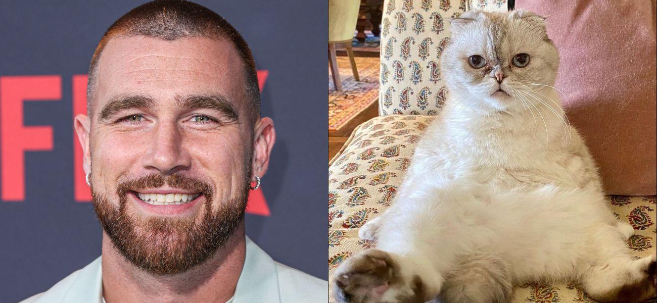 Travis Kelce’s Net Worth Is Beaten Out By This Singer’s Cat