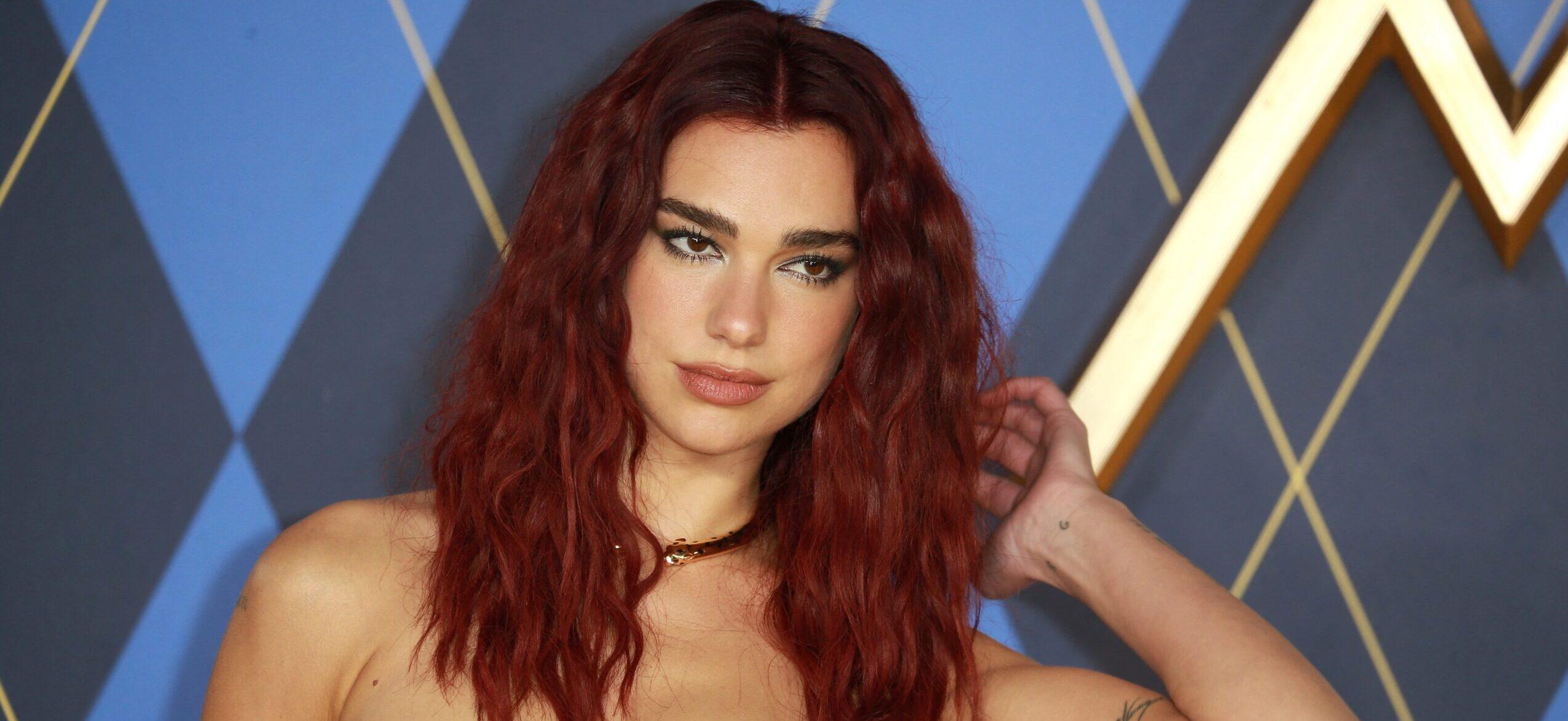 Dua Lipa Basks In The Sun In Her Tiny Pink Bikini Top And Skirt