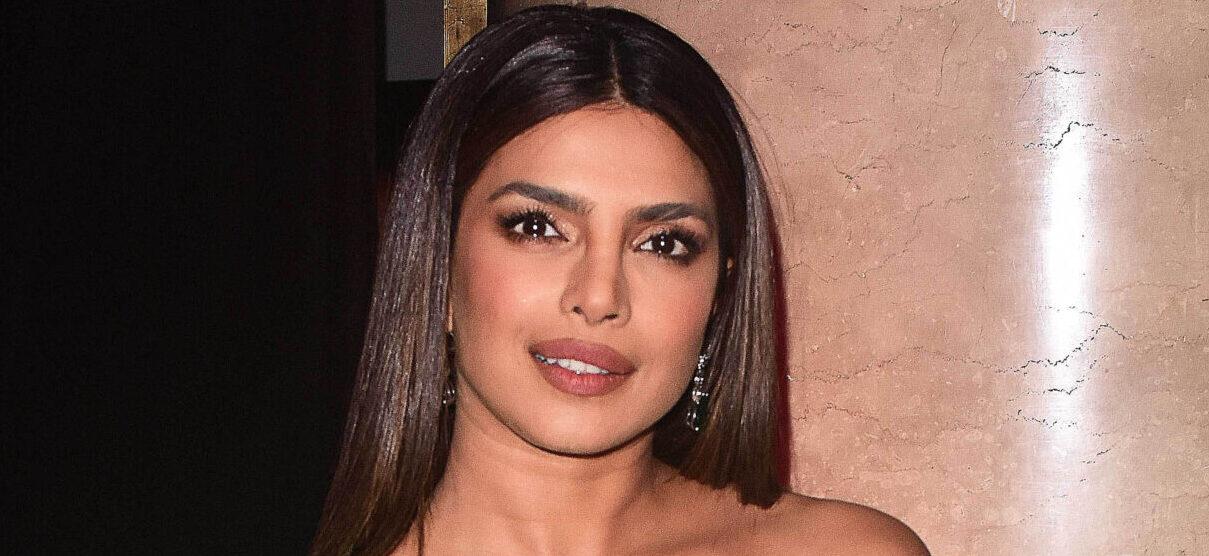 Photo by: Patricia Schlein/STAR MAX/IPx 2023 10/19/23 Priyanka Chopra at the 2023 DKMS Gala at Cipriani Wall Street on October 19, 2023 in New York City. Newscom/(Mega Agency TagID: starmax719462.jpg) [Photo via Mega Agency]