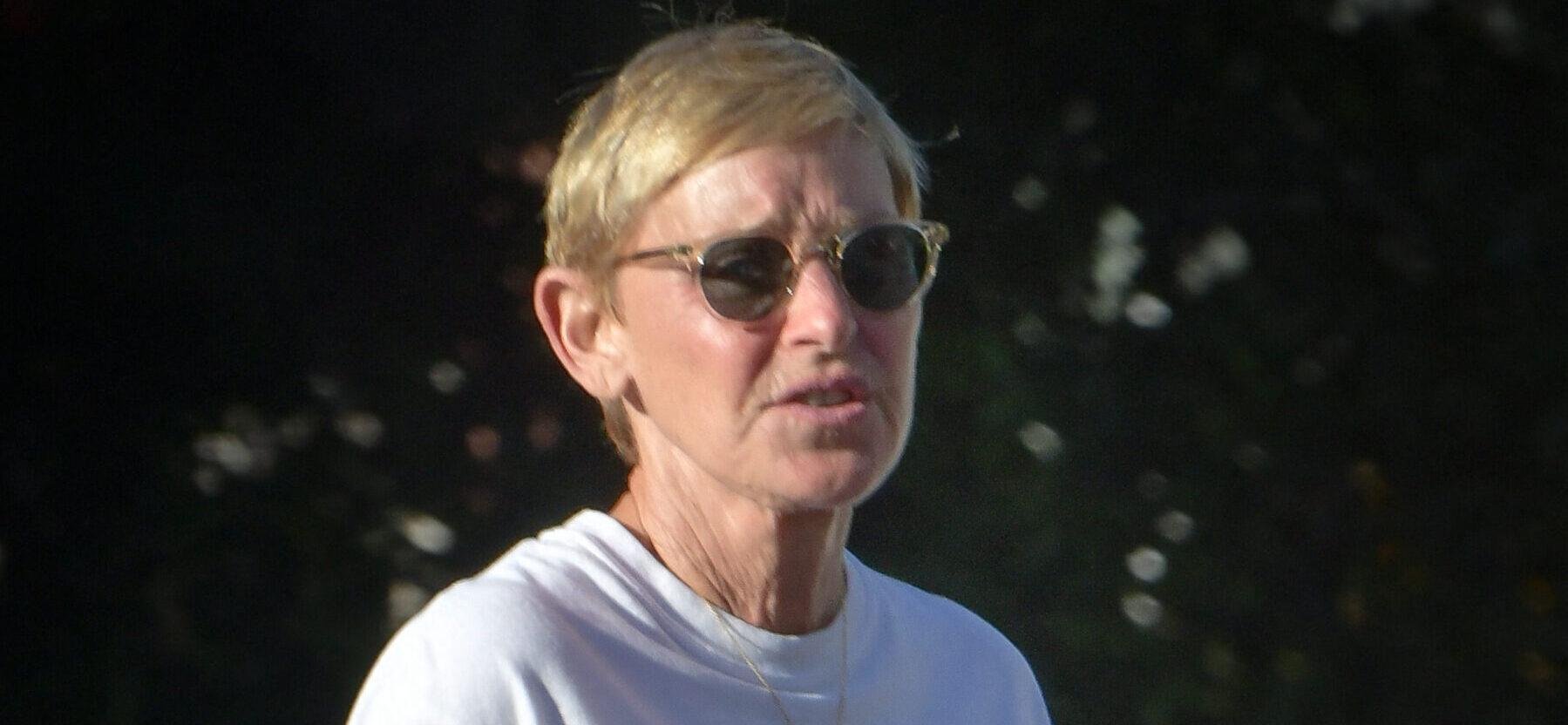 Ellen DeGeneres Details Her Response To Several Recent Diagnoses