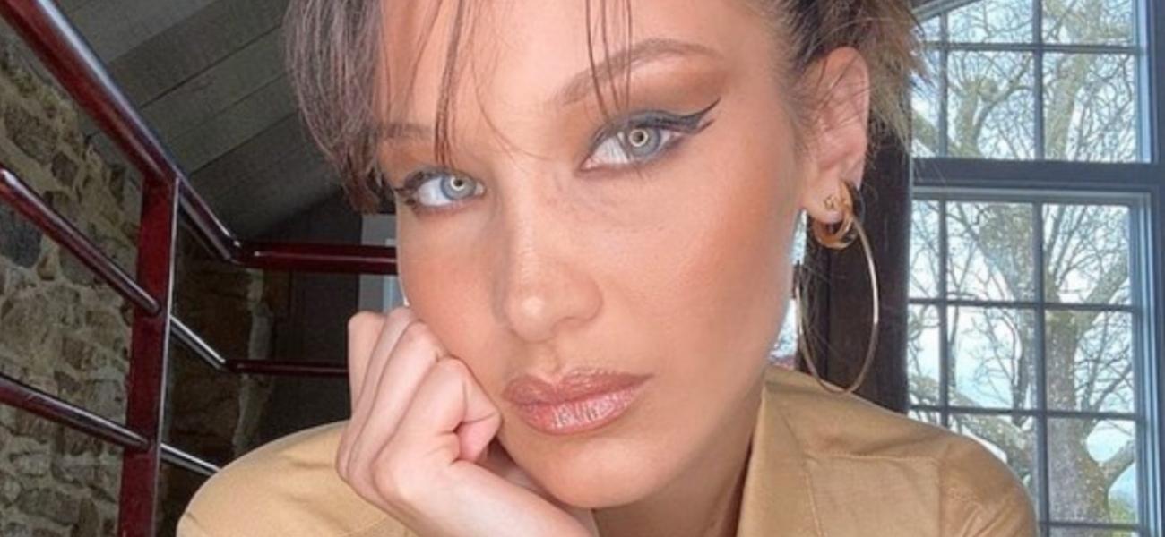 Bella Hadid posing close up