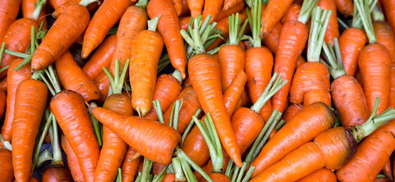 baby carrots