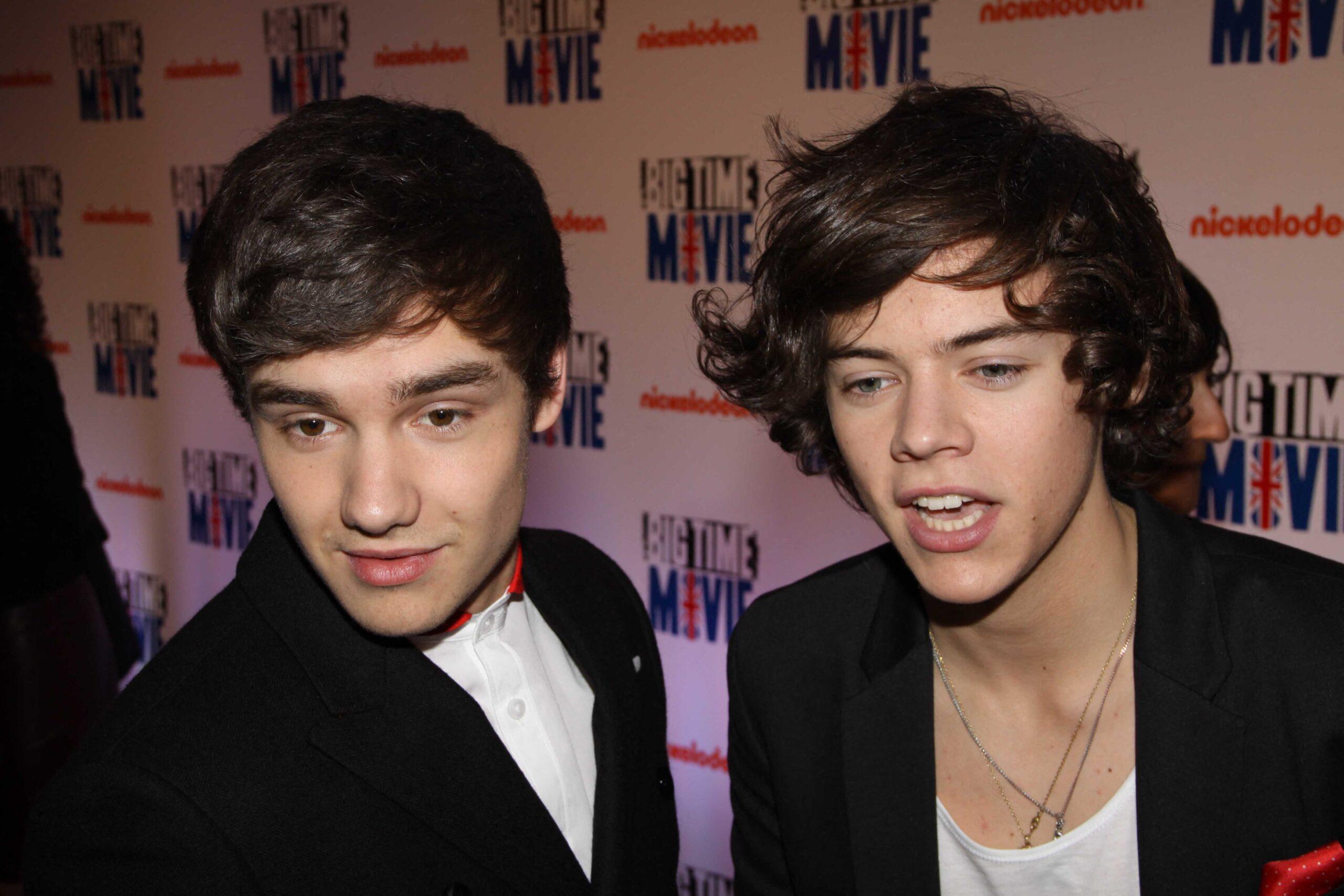 Harry Styles and Liam Payne