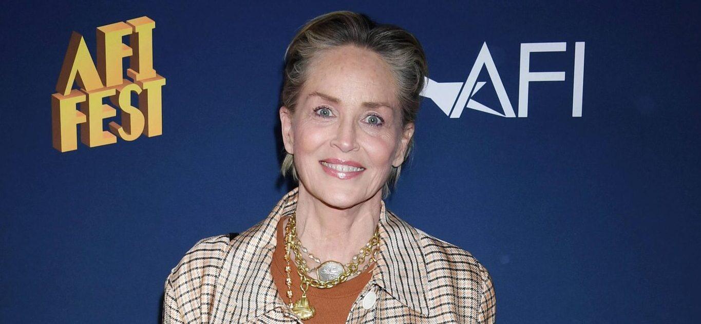 HOLLYWOOD, CALIFORNIA - OCTOBER 23: Sharon Stone attends the 