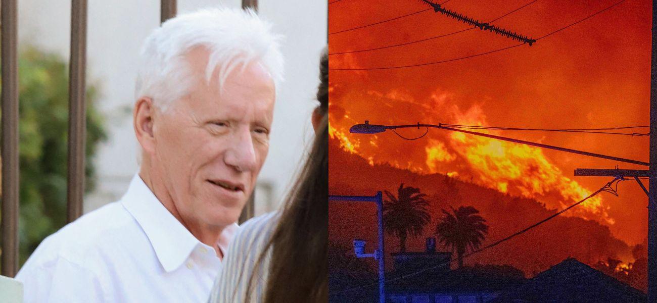 James Woods, Pacific Palisades Wildfire photo collage