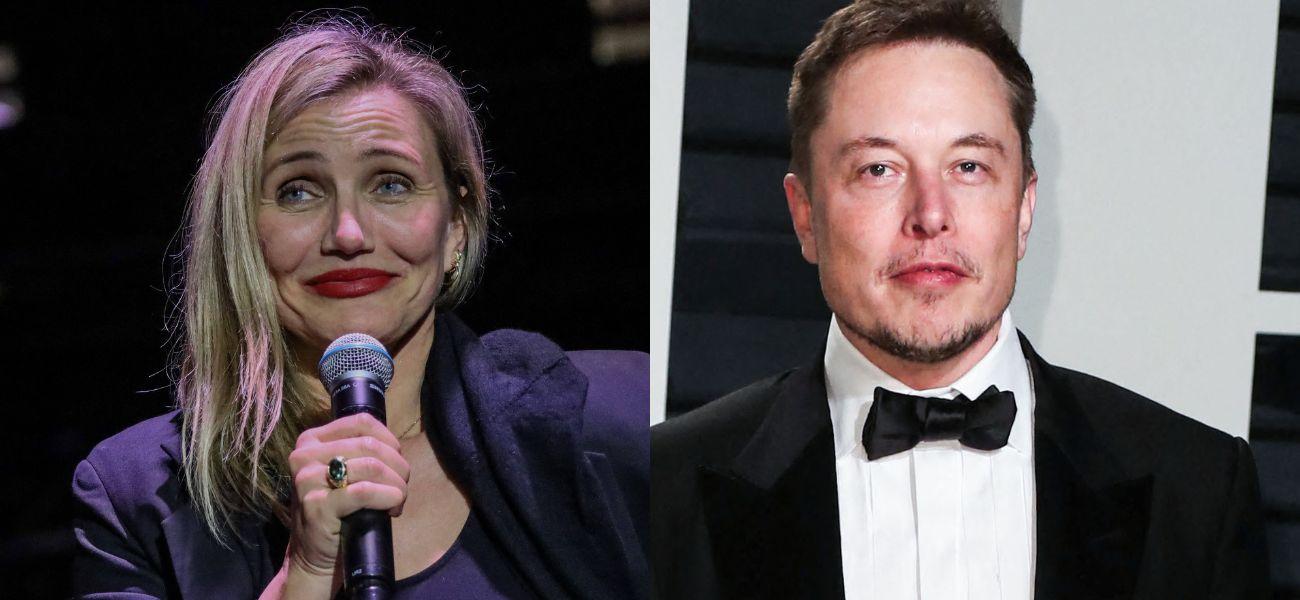 Cameron Diaz, Elon Musk photo collage