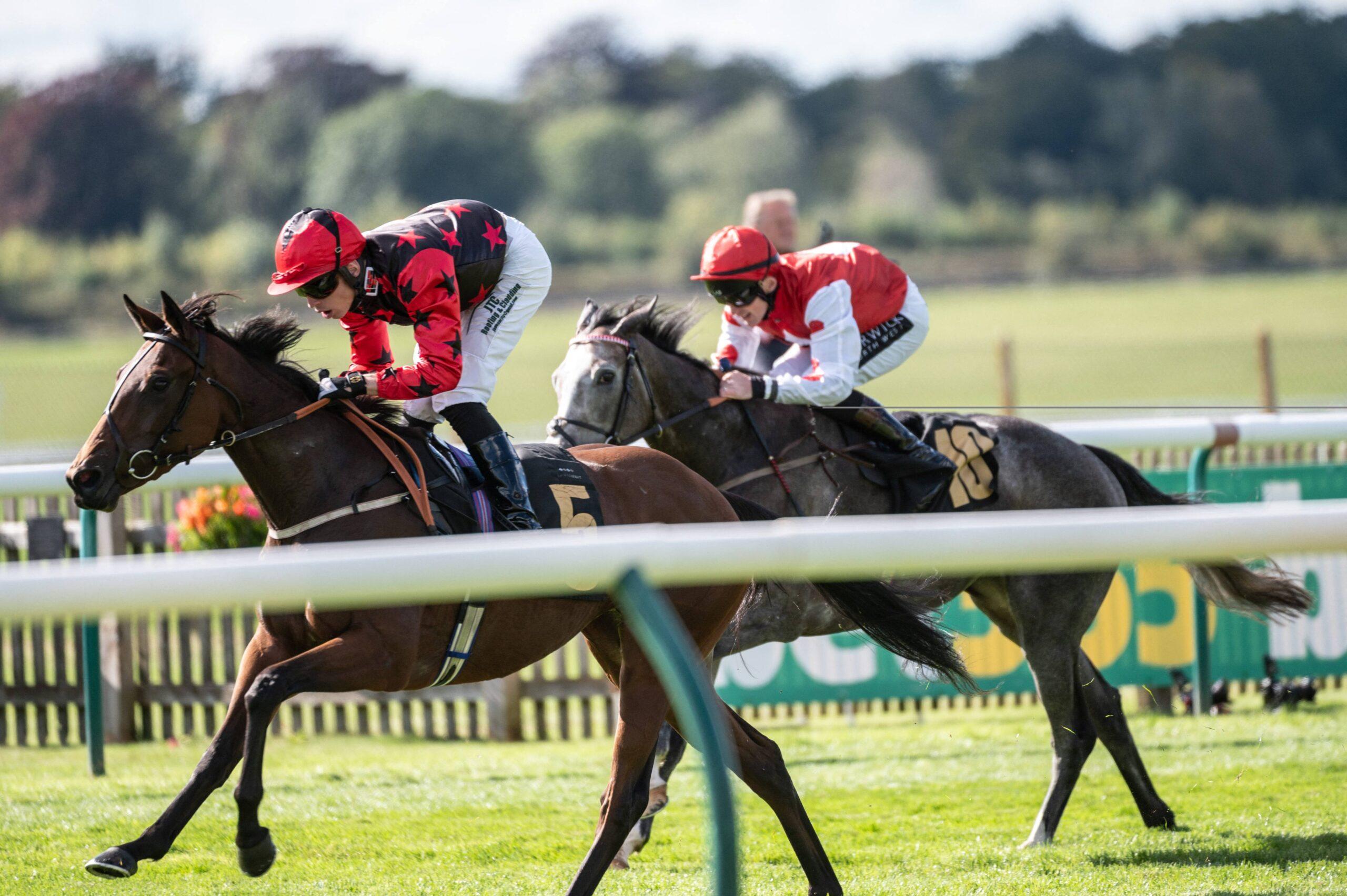 Horses running