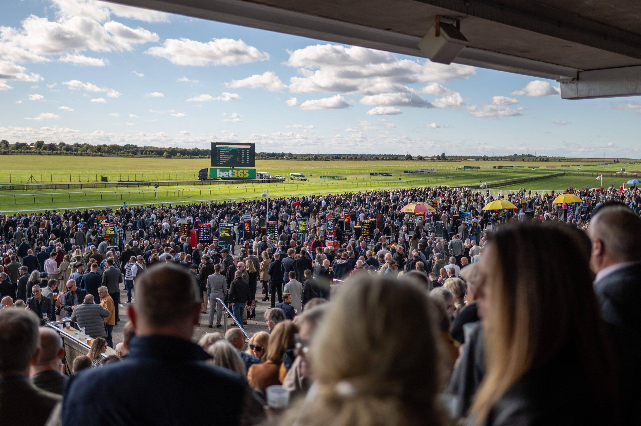 Crowd watching horses race