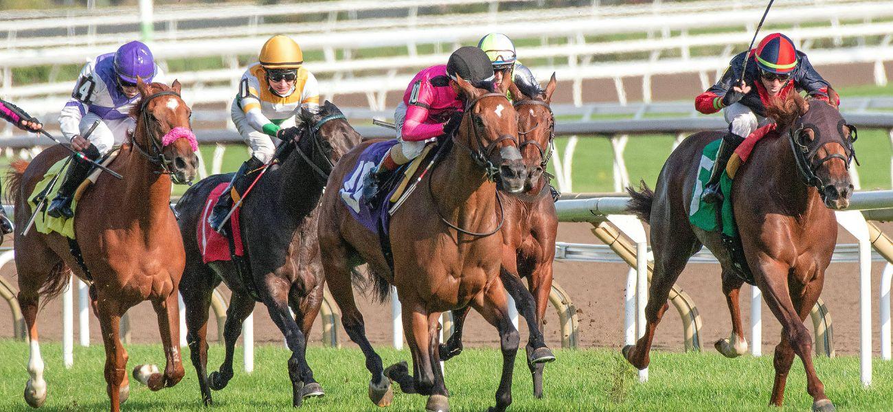 Horses racing