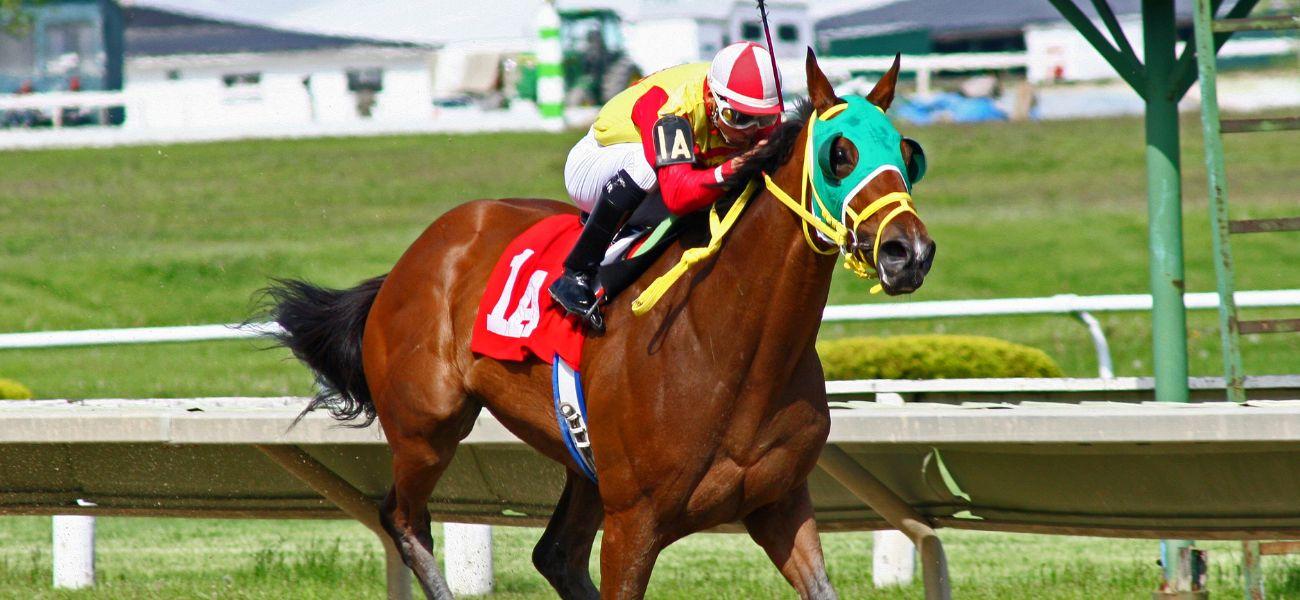 Horse racing