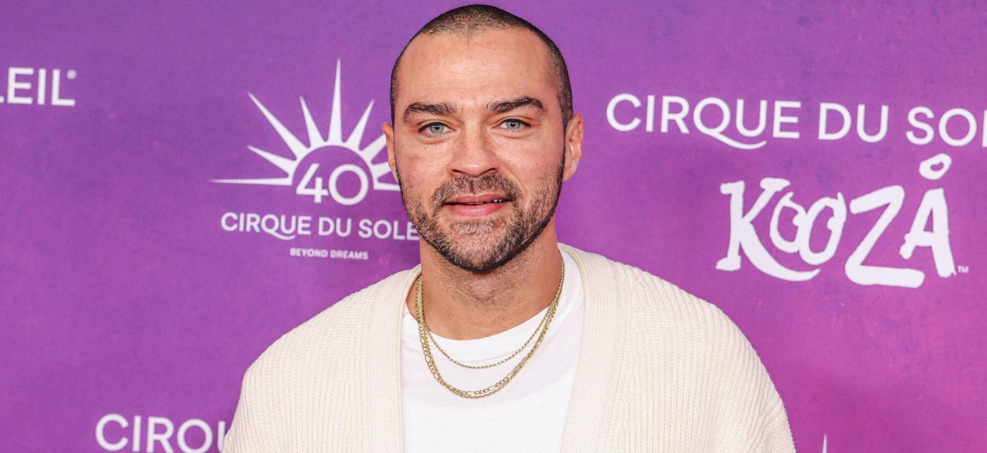 ‘Grey’s Anatomy’ Jesse Williams’ Ex-Wife Screams ‘Infringement On Her Parental Rights’ In Court