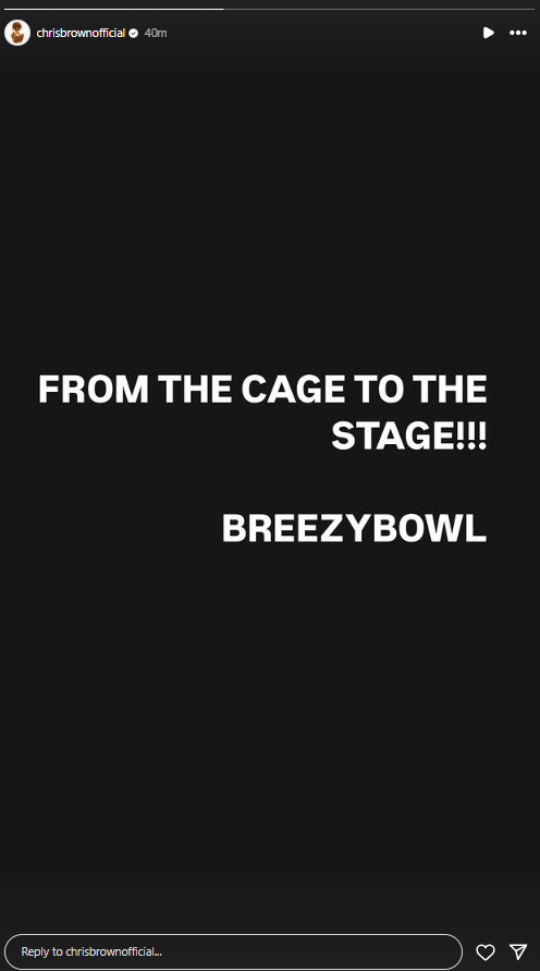 Chris Brown's post after his release on bail
