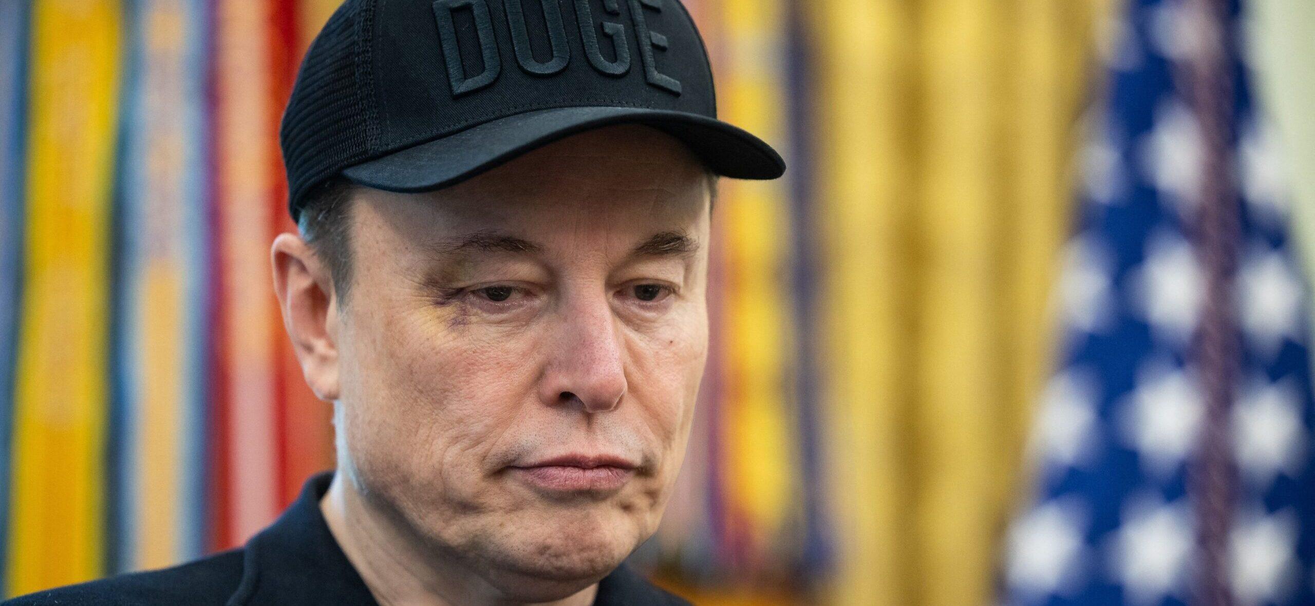Elon Musk at the Oval Office