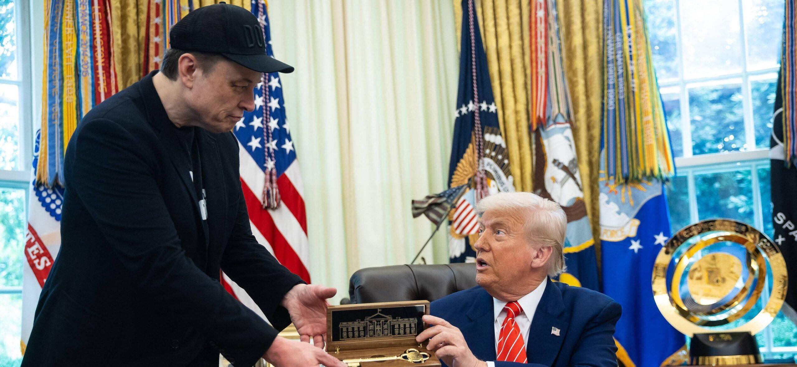 Elon Musk Sends MAGA Into A Meltdown Over Bombshell Claim About Trump And The Epstein Files