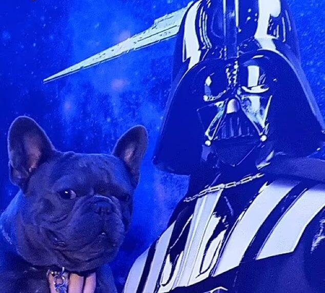 Snoop Dogg's dog Juelz and Darth Vader