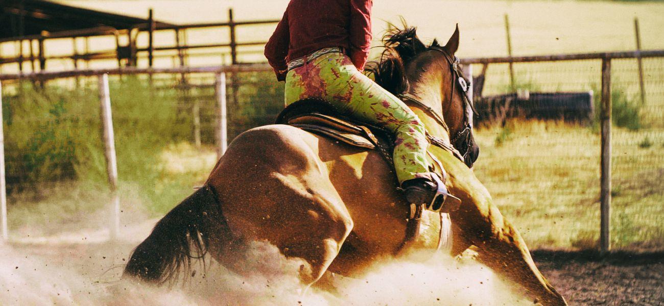 Person riding a horse at a rodeo