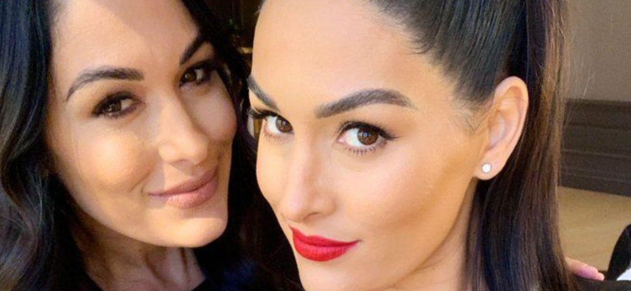 Nikki and Brie Bella
