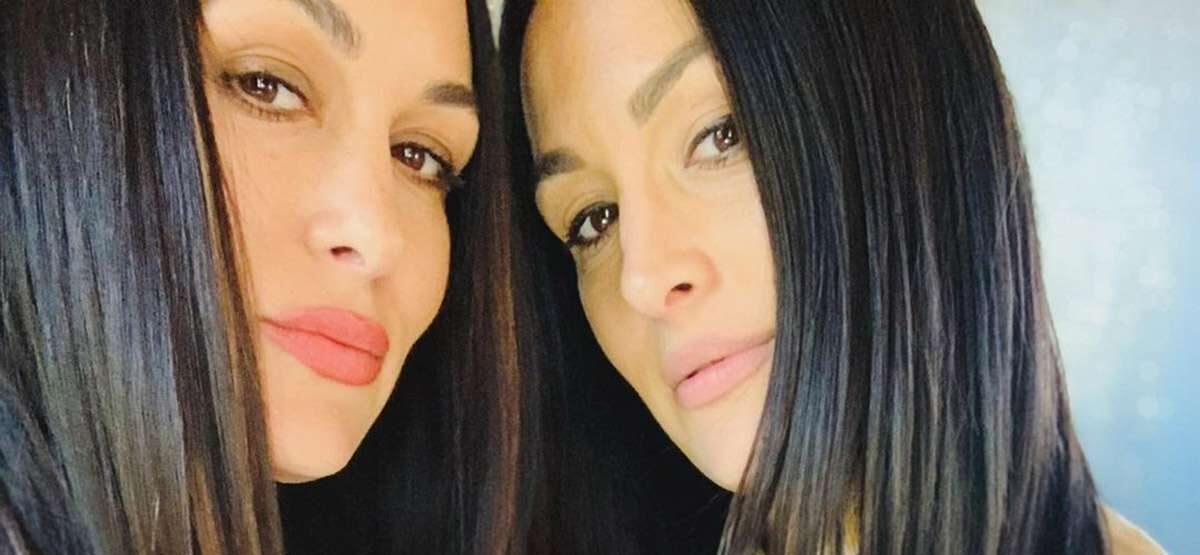 Nikki and Brie Bella selfie