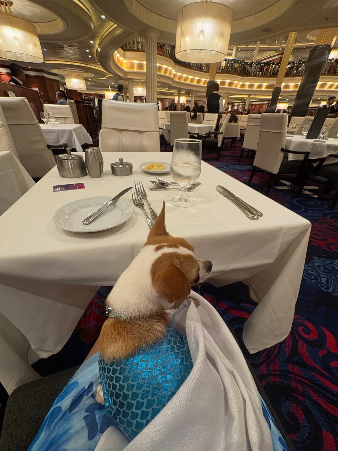 TikTok's Bruiser Woods at dinner on a cruise