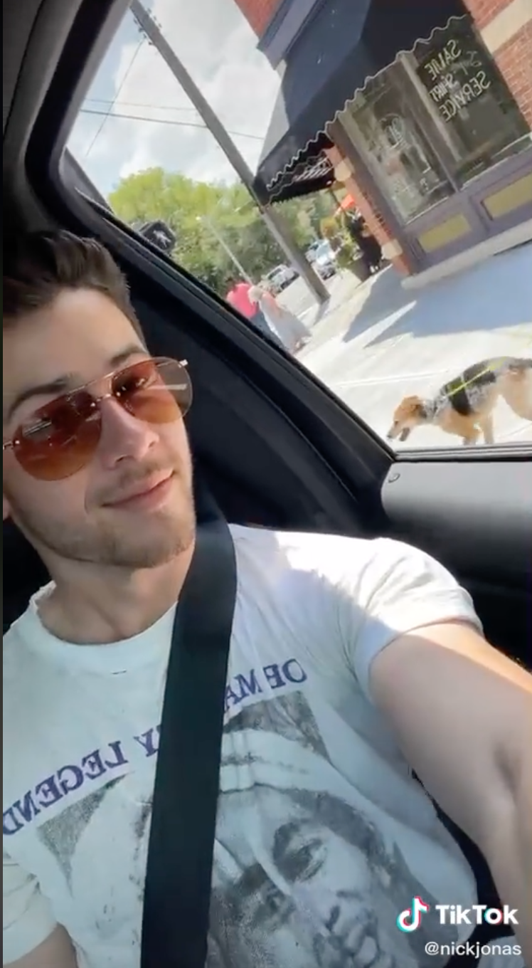 Nick Jonas takes a selfie with a fan