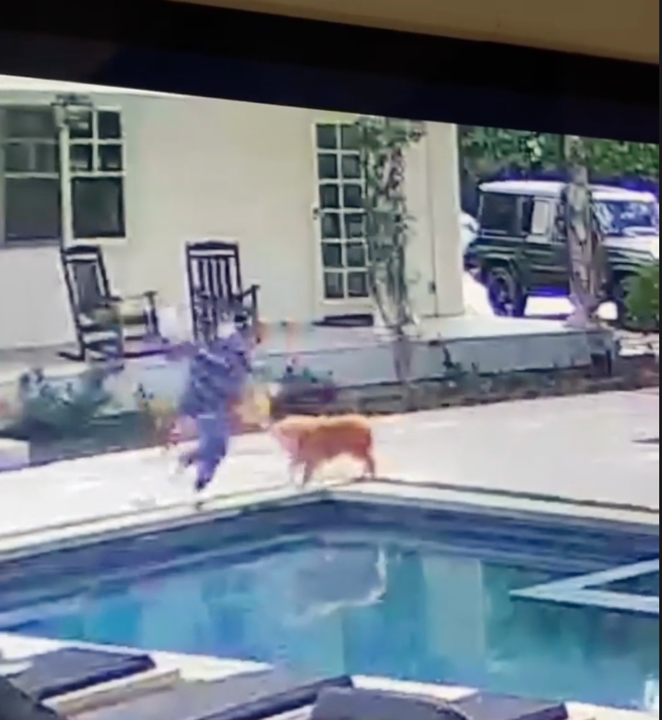 Kyle Richards jumping into her pool